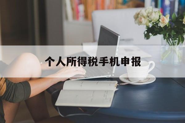 个人所得税手机申报(个人所得税手机申报流程图)