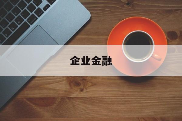 企业金融(企业金融资产)